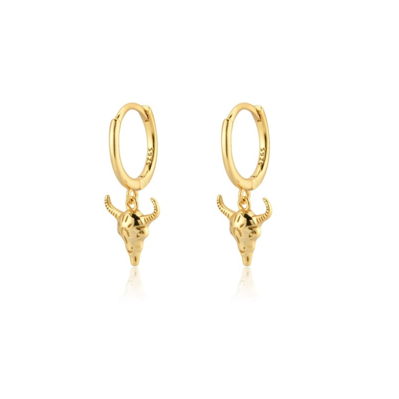 Fashion Hanging earrings Zircon Lightning Short Pendant Drop Ear Ring Ear Bone Sweet Trend Female Jewelry Hoop Earring for Women