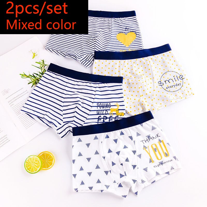 HH 2 Piece Kids Boys Underwear Cartoon Children&#39;s Shorts Panties for Baby Boy Toddler Boxers Stripes Teenagers Cotton Underpants