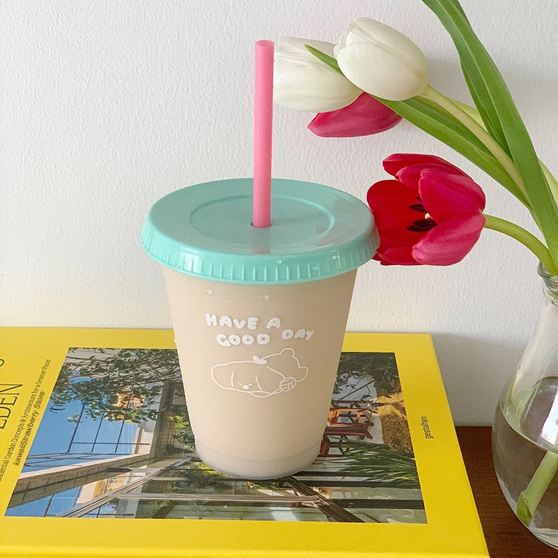 Cute Water Bottle For Coffee Juice Milk Tea Kawaii Plastic Cold Cups With Lid Straw Portable Reusable Drinking Bottle BPA Free