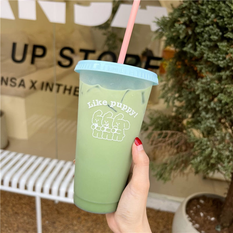 Cute Water Bottle For Coffee Juice Milk Tea Kawaii Plastic Cold Cups With Lid Straw Portable Reusable Drinking Bottle BPA Free